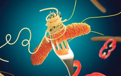 Food Microbiology Testing Methods: Salmonella species